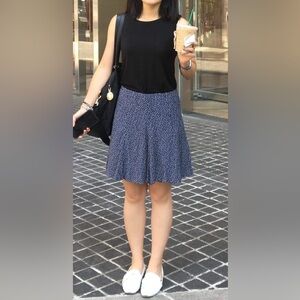 Banana Republic Navy and White Mini Skirt